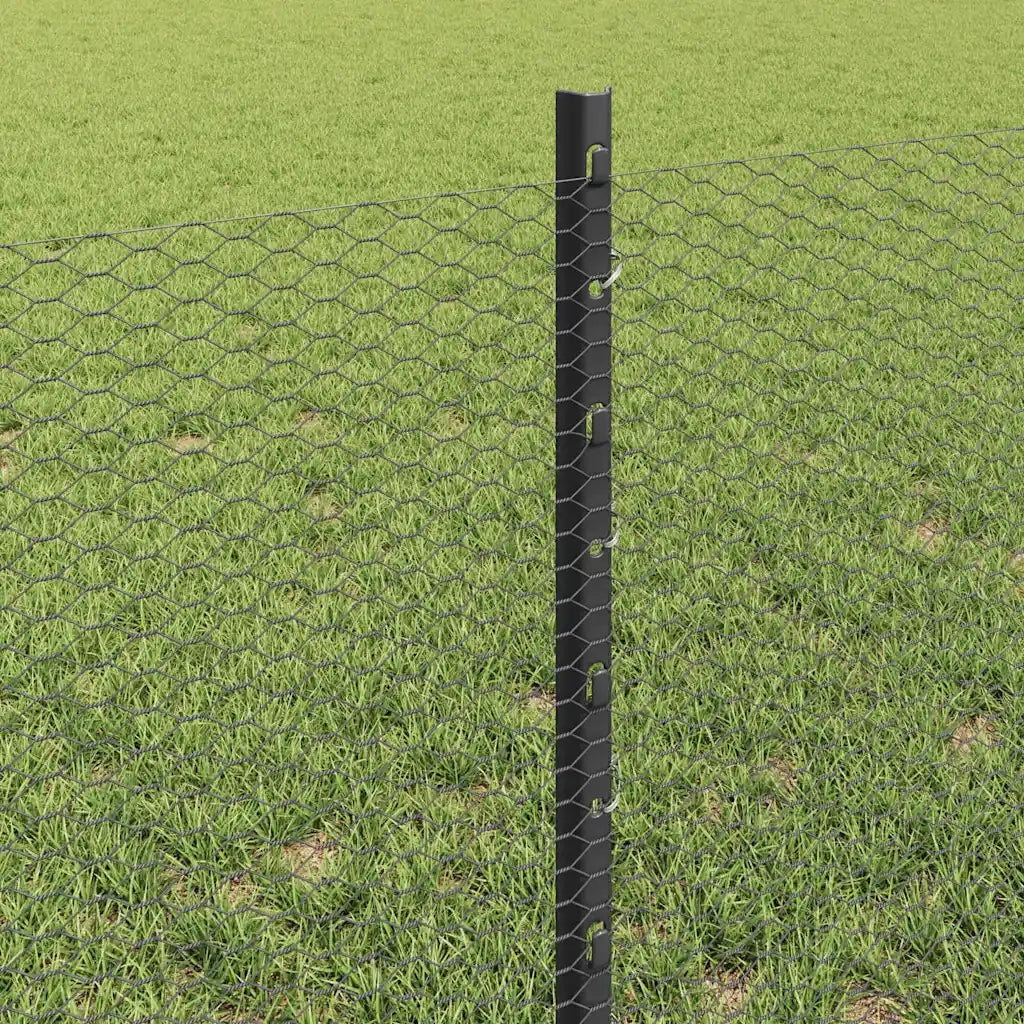 Recinzione da Giardino | Recinzione con Posto Grigio