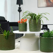 VASO in Ceramica 17,5 cm Verde Oliva con Foro di Drenaggio