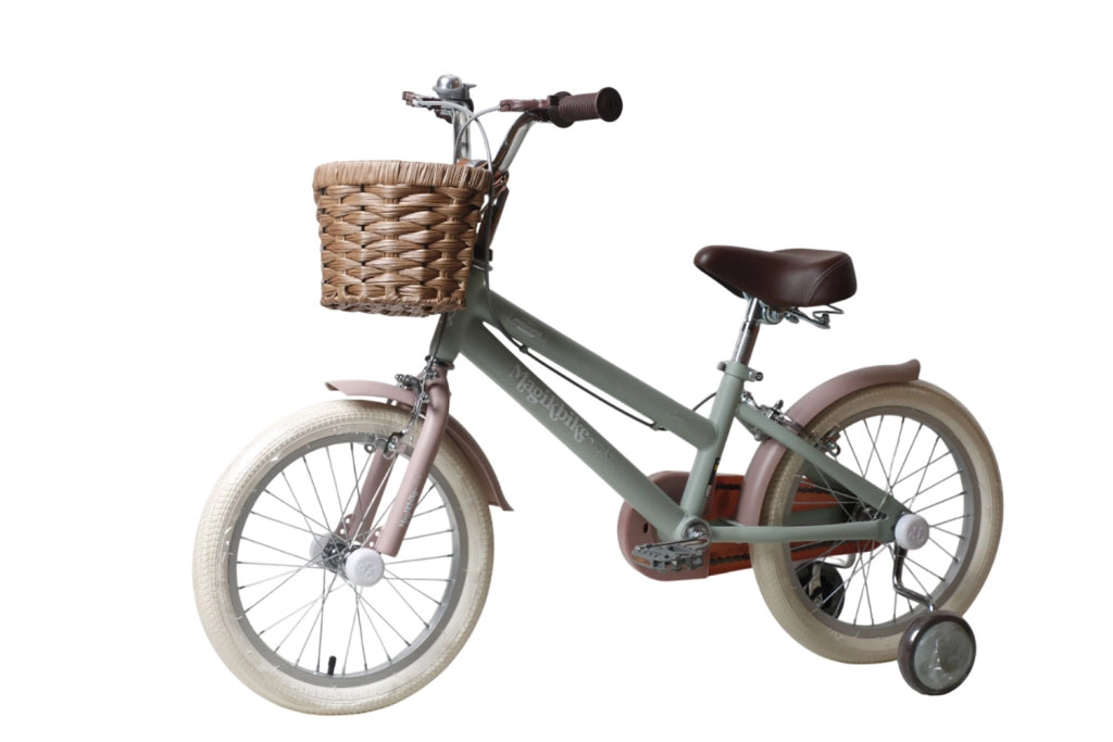 Bicicletta per Bambine Antonella 16 Pollici con Stabilizzatori e Cestino Verde e Rosa Verde e Rosa
