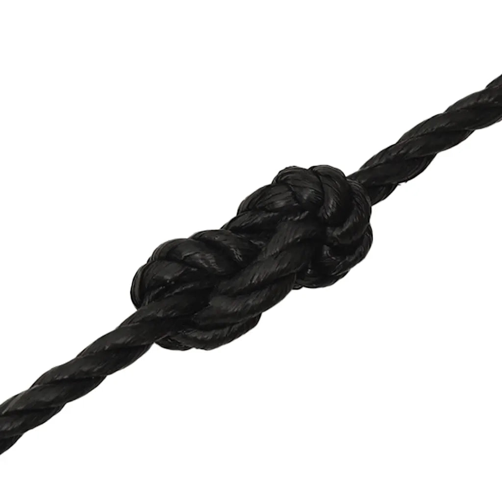 Corda da Lavoro Nera 10 mm 500 m in Polipropilene 153015