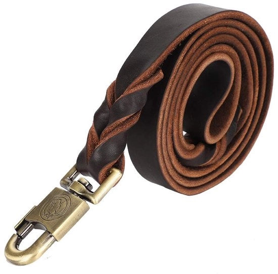 Cinturino per Cani - Cinturino per Cani in Pelle - Leggero e Resistente - 2.5 Cm Largo - Massima Libertà (2.5 * 150 CM)