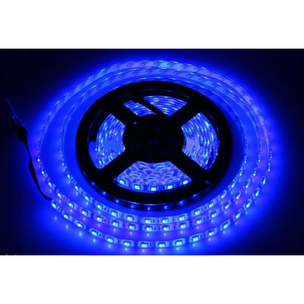 Trade Shop - Bobina Striscia Strip Led 5050 Flessibile 5m Adesiva Luce Interno Esterno Ip65 - -blu      -