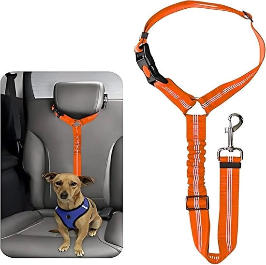 Cintura di sicurezza per cani - 2 pezzi - cintura di sicurezza per cani con elastico - per piccoli cani e cuccioli di taglia media - cintura - cintura per cani con anello - cintura elastica retrattile