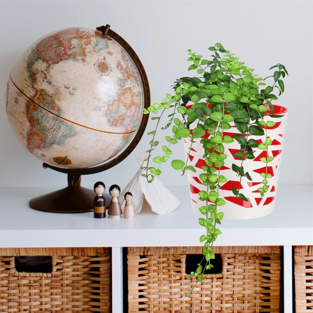 KADAX - Inserto in plastica per vaso di fiori e piante, 15 cm, rosso