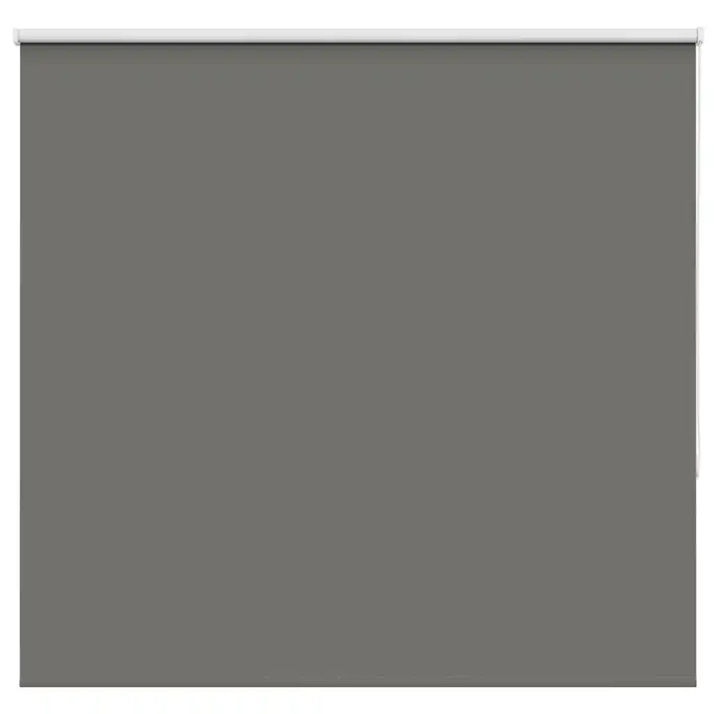 Tenda a Rullo Oscurante-Tenda da sole a rullo 160x130 cm Larghezza Tessuto 156,6 cm 938379