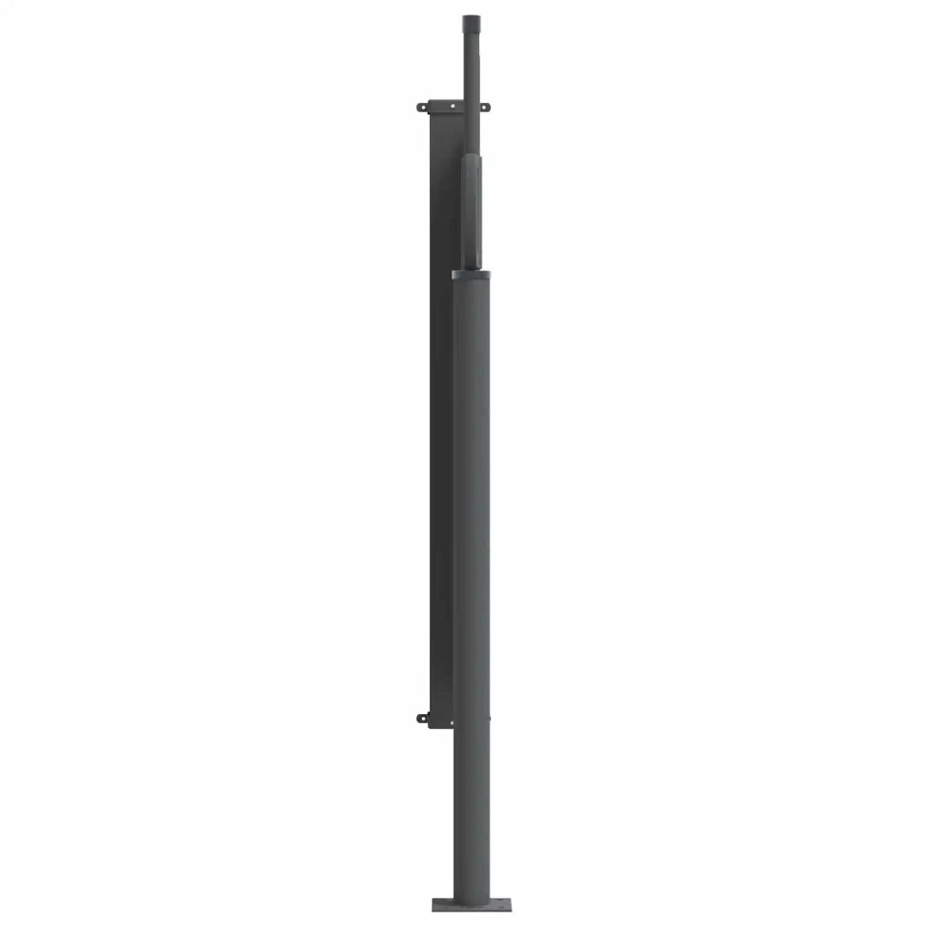 Tenda laterale retrattile Nero 300 x 100 cm Poliestere