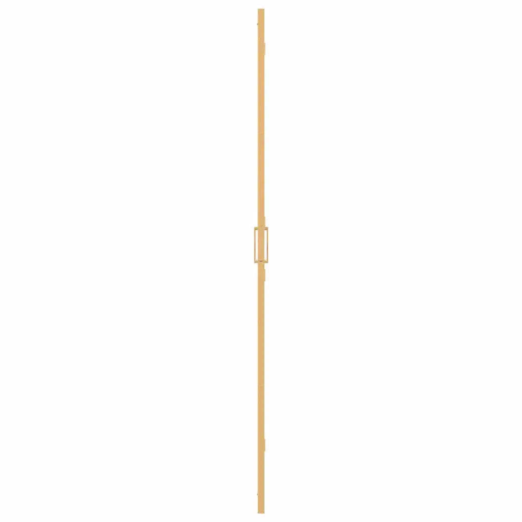Parete doccia walk-in Oro 80 x 6,5 x 190 cm CFW1103601
