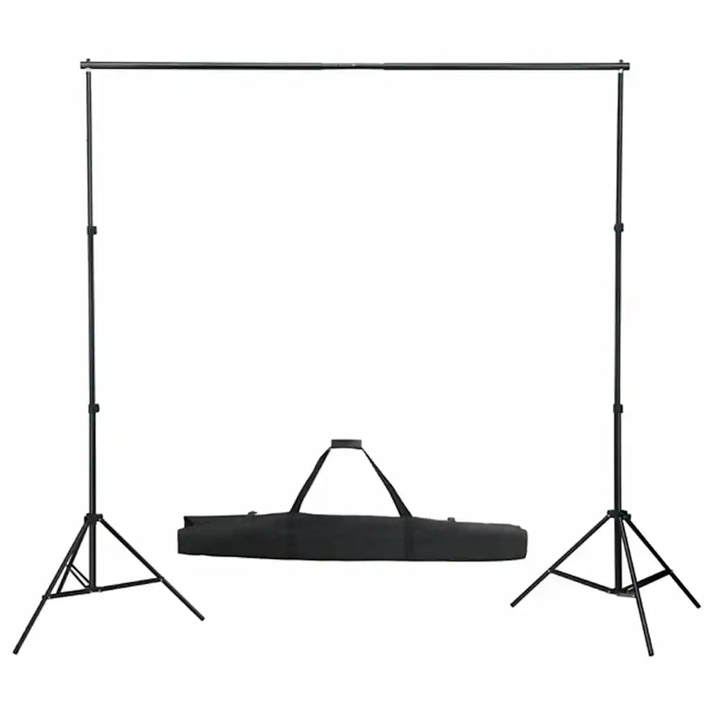 Kit per Studio Fotografico con Set Luci, Fondale e Riflettore 3067051