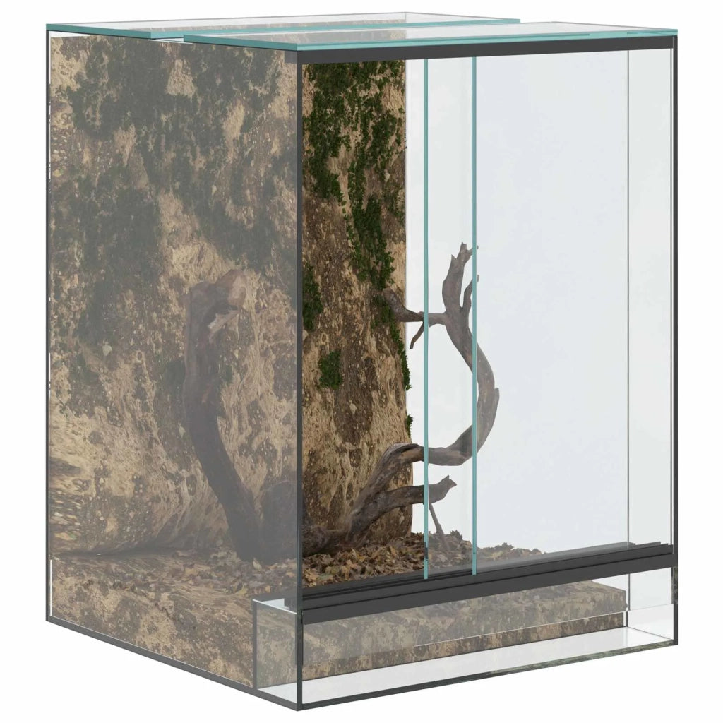 Terrario con archiviazione Trasparente 30 x 30 x 40 cm Vetro CFW7854473