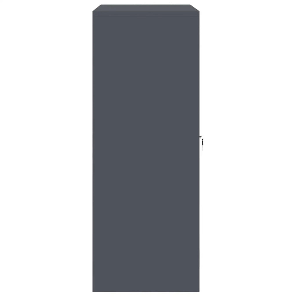 Armadio Antracite 90 x 40 x 105 cm Acciaio 891648