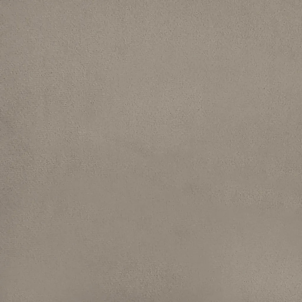 Divano letto | Sof¨¤ letto | Letto singolo a 2 Posti Grigio Chiaro in Velluto