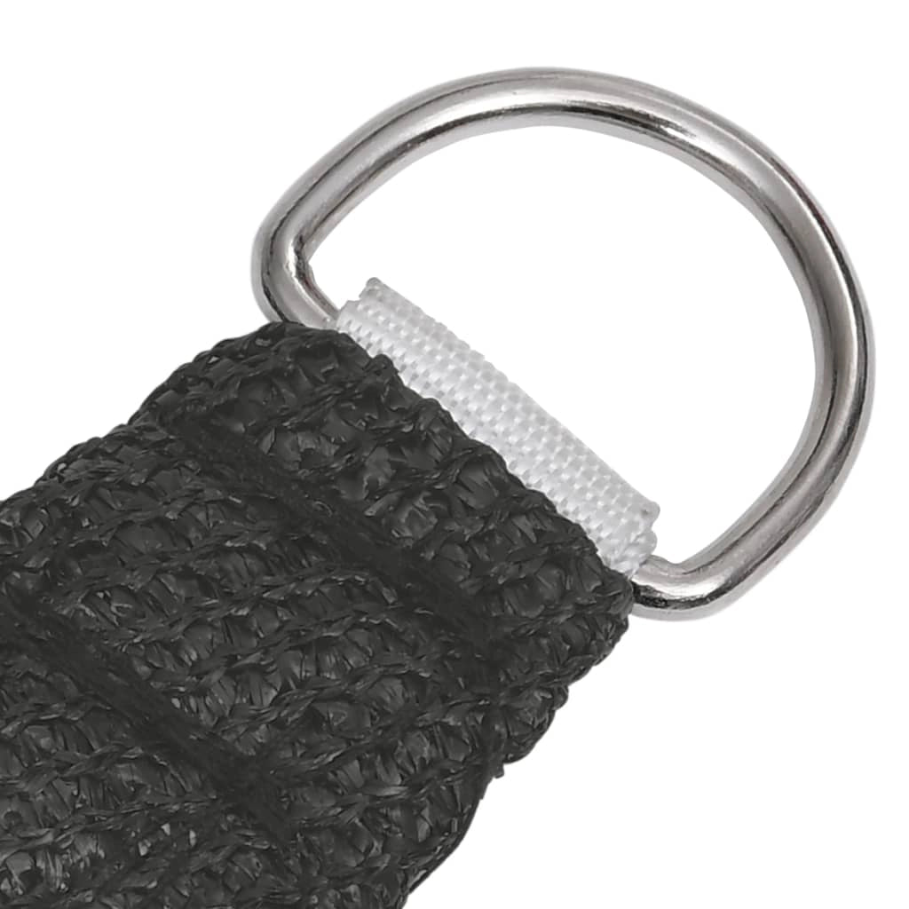 Vela ombreggiante/ombrellone 160 g/m² HDPE 3/4 x 3 m antracite 02_0008918