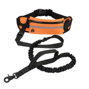 Cinturone per cani Handsfree - Cinturino riflettente - Adattabile - Chiusura di sicurezza - Corda elastica - Lunghezza 120 cm - Cinturone per cani