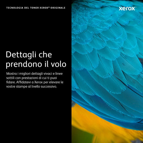 Xerox Cartuccia toner Nero a Capacità standard per Phaserâ¢ 6600, WorkCentreâ¢ 6605