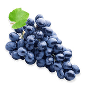 Pianta di UVA VITE innestata DA TAVOLA FRAGOLA NERA ISABELLA NERA in vaso 18 cm AMDGarden