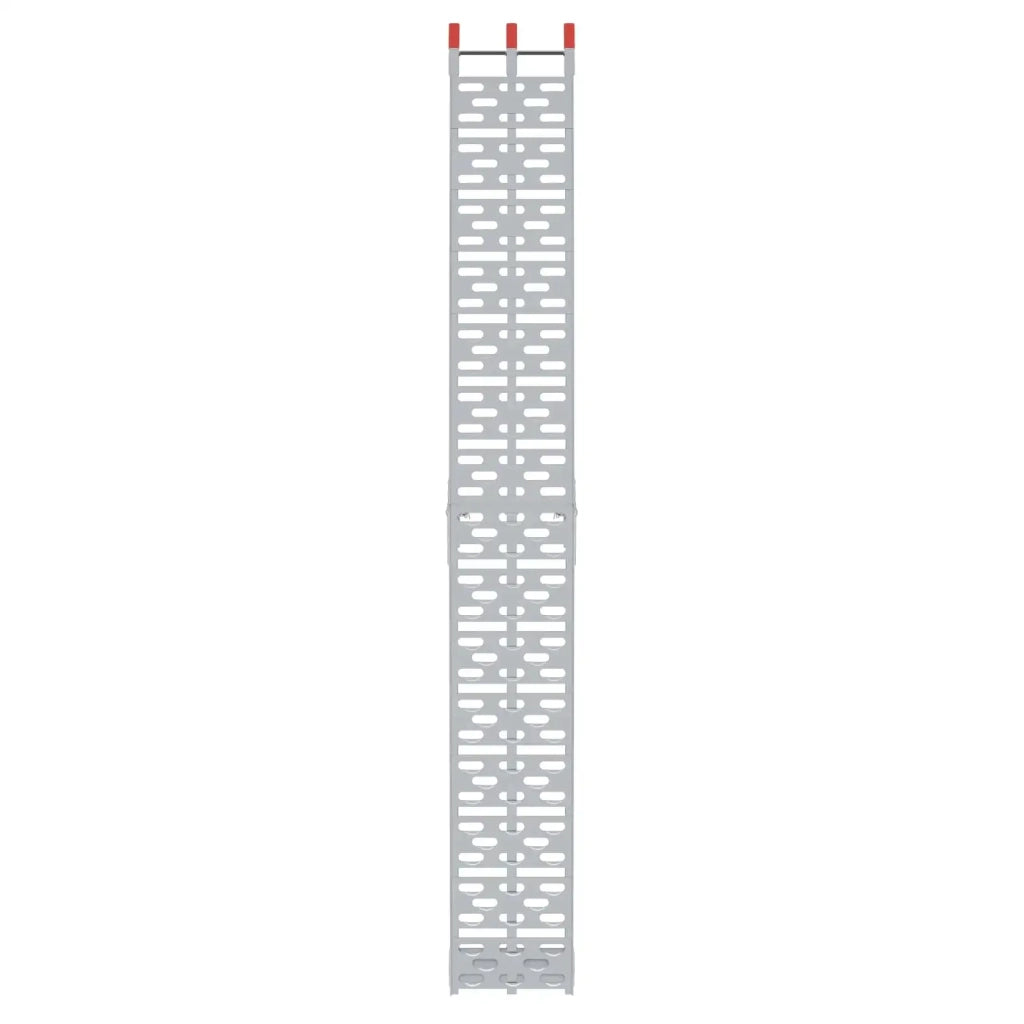 Rampe per Moto Pieghevoli 340 kg per rampa 2 pz Argento CFW3421700