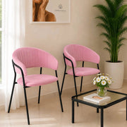 Sedie da sala da pranzo set da 2 Aurelia in velluto rosa con gambe nere