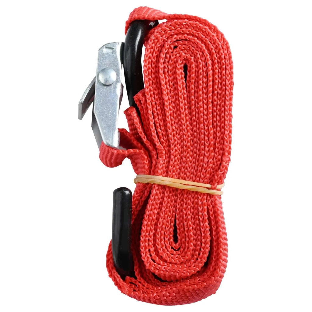 Rampe per Moto Pieghevoli 340 kg per rampa 2 pz Argento CFW3421700