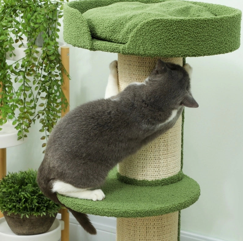 Tiragraffi per gatti verde con piattaforme, 91 cm