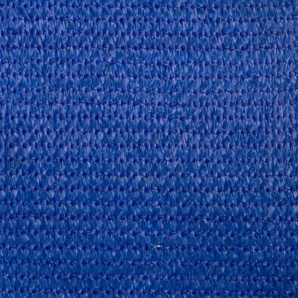 Vela Parasole 160 g/mÂ² Rettangolare Blu 2,5x5 m in HDPE