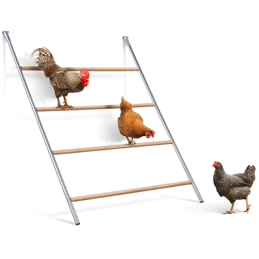 IDMarket - Grand pasatoio per galline 4 livelli in legno, compatibile con recinzione per pollaio