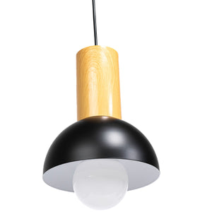 Lampada Da Soffitto APP1083-1CP