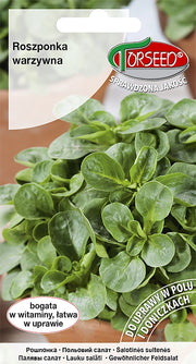 Insalata di verdure Verte de Cambrai 2g