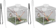 Kit per Terrario per Spinose Reptili - Ideale per gli Appassionati di Terrario - 2 Pezzi