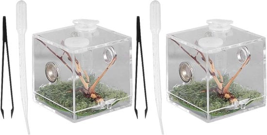 Kit per Terrario per Spinose Reptili - Ideale per gli Appassionati di Terrario - 2 Pezzi
