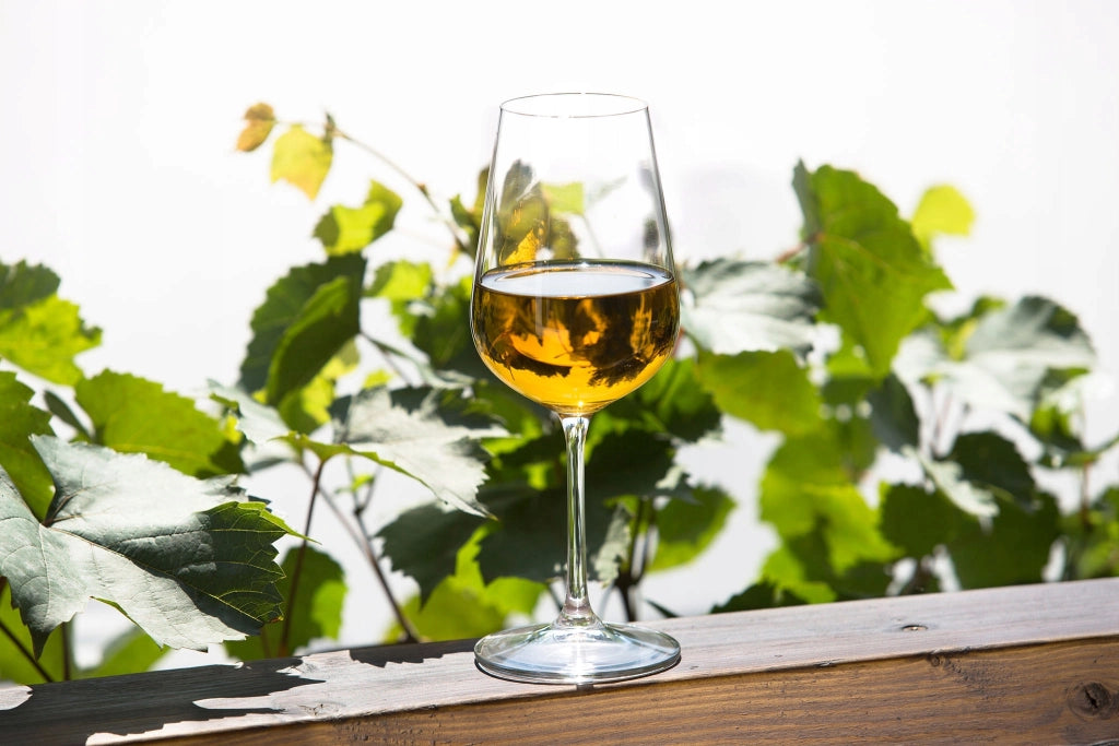 Set di 6 bicchieri da vino bianco KADAX da 360 ml, eleganti