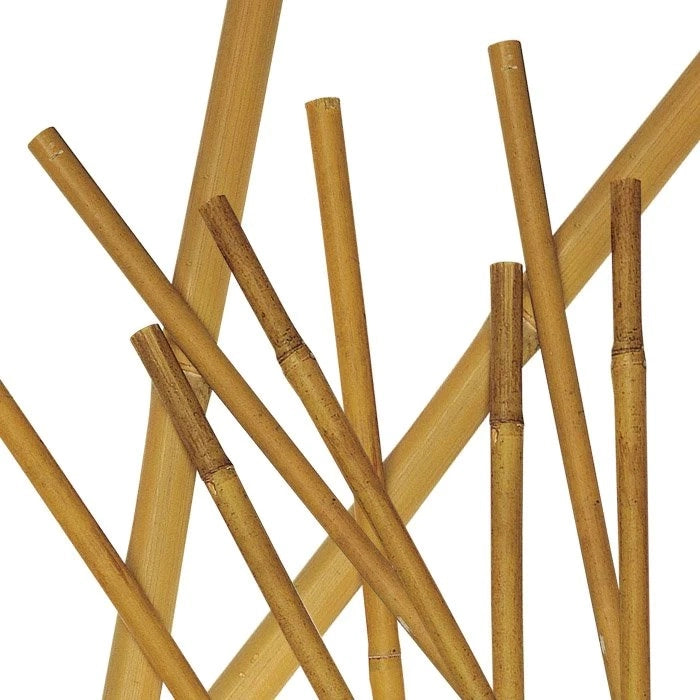 SET 2 CANNETTE BAMBOO NATURALE 210CM 16 / 18MM