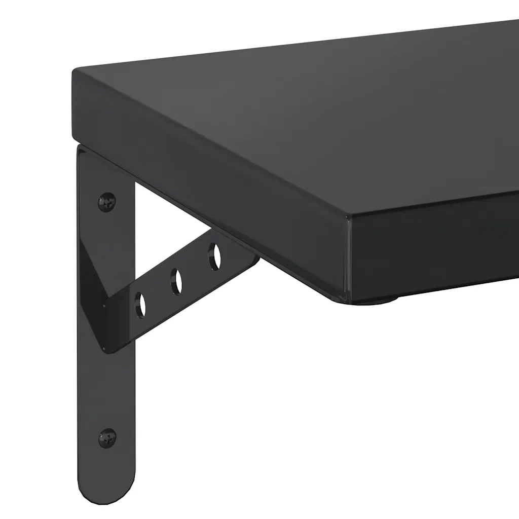Mensole a Muro 2 pz-Set di 2 Scaffale a parete 50x23,5 cm Nero in Acciaio Inossidabile