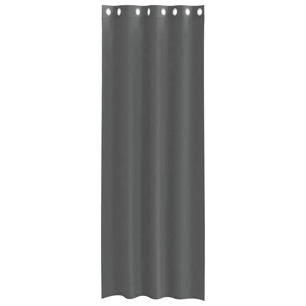 Tende in Voile con Occhielli 2 pz Grigio Scuro 140x260 cm
