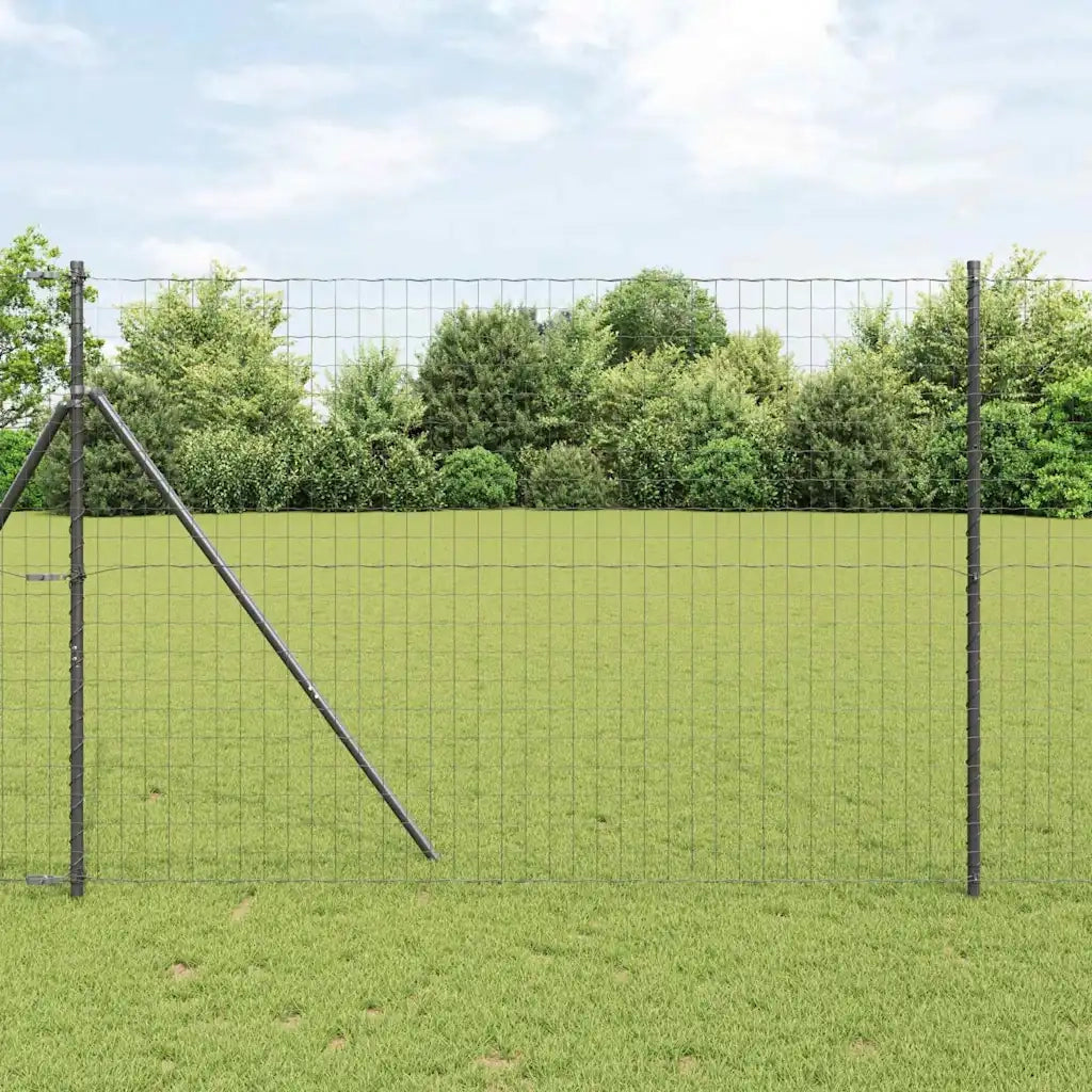 Recinzione Euro Nero 1,6 x 10 m Ferro rivestito in PVC 42004601