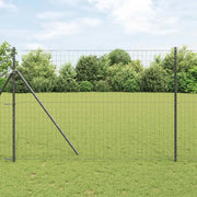 Recinzione Euro Nero 1,6 x 10 m Ferro rivestito in PVC 42004601