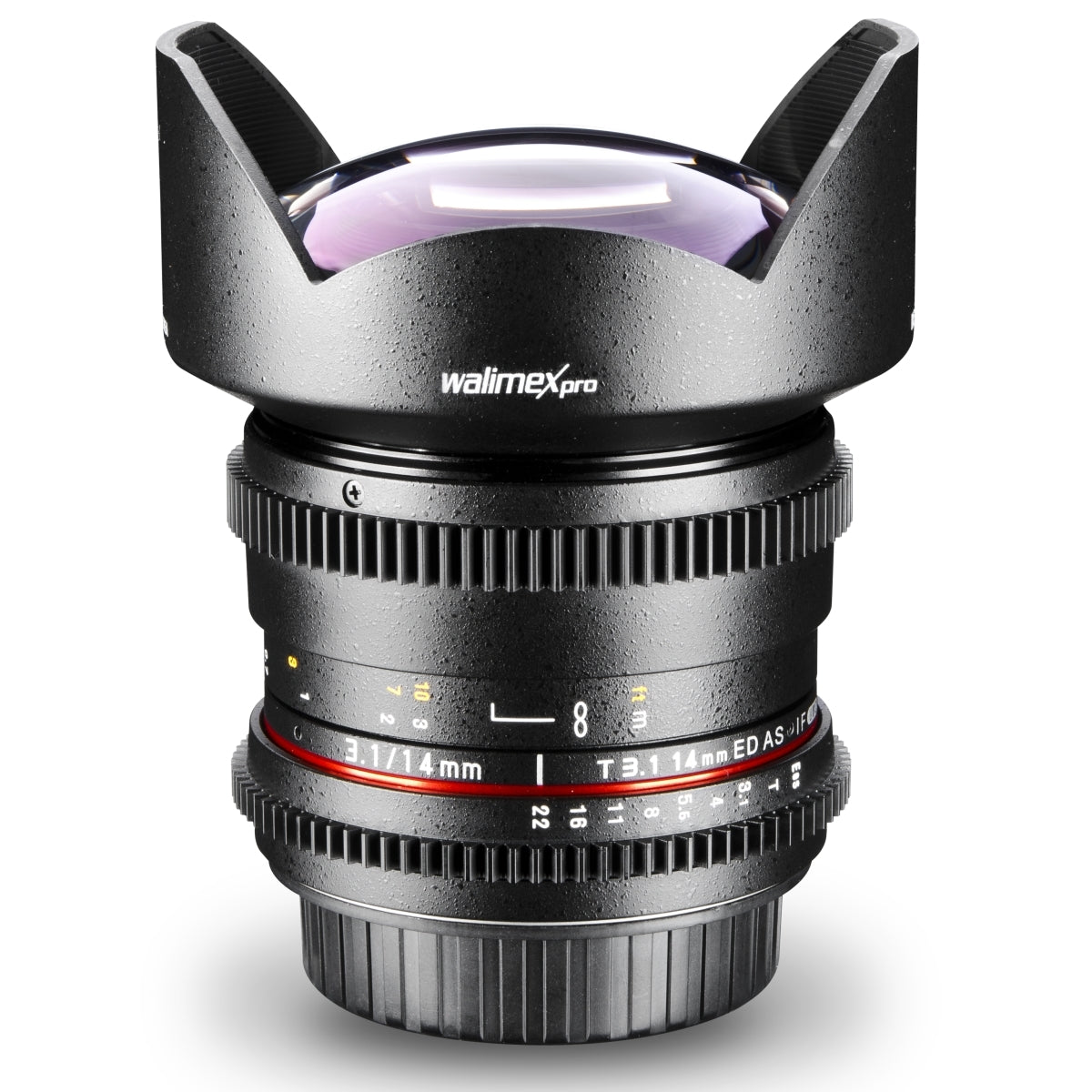 Walimex Pro 14mm 1:3.1 obiettivo VDSLR per foto e video (incluso paraluce fisso, IF, ghiera ingranaggi, apertura e messa a fuoco continua, grandangolo) per obiettivo Nikon F baionetta nera