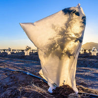 Set 2 Cappucci di Protezione per Piante in TNT 100X80 cm Sacchi Antigelo Telo Copri Pianta