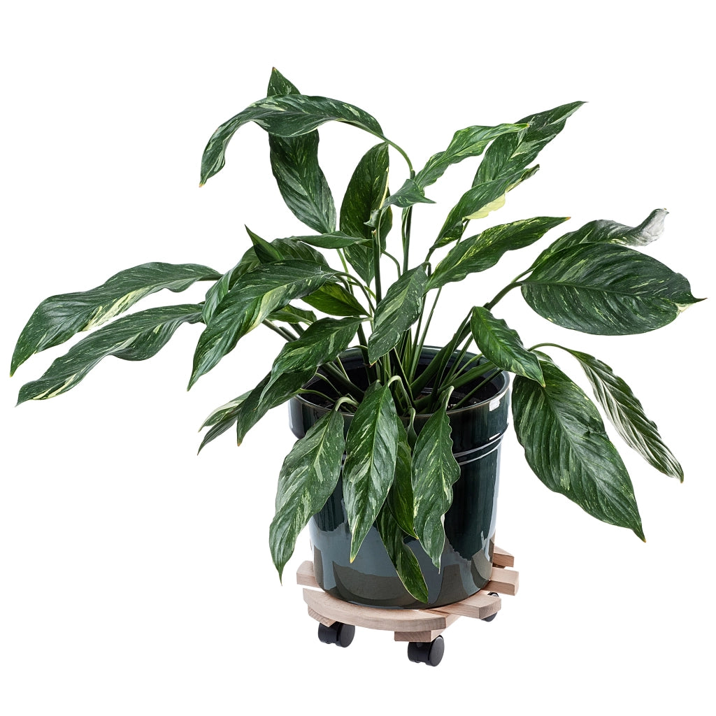 Supporto per vaso da fiori KADAX, piattaforma rotonda in legno, 30 cm