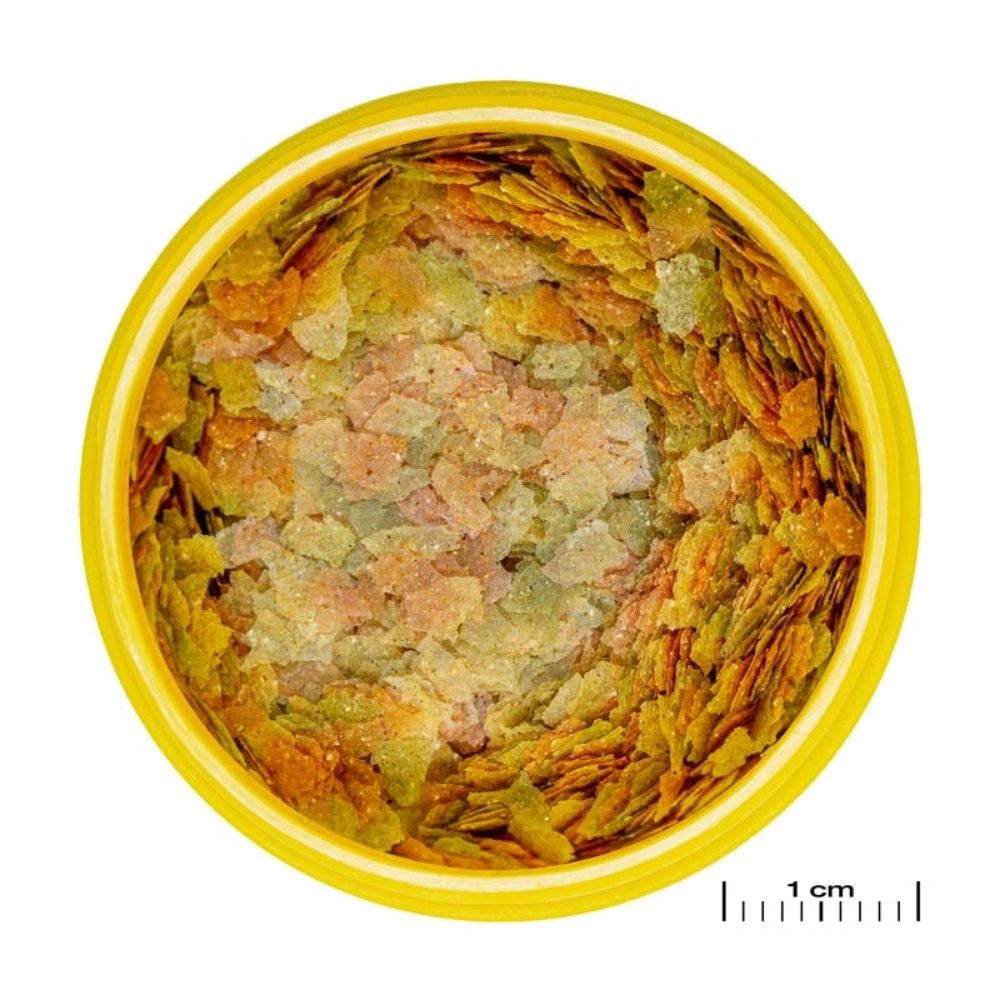 JBL ProNovo Betta Flakes S 100ml -  fioccato di base per Betta da 3 a 10cm