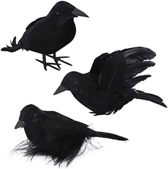 Set di 3 uccelli decorativi con piume - Decorazione spettrale di Halloween