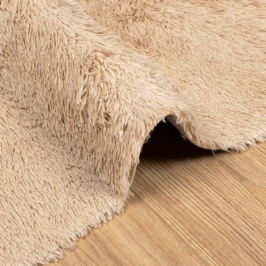Tappeto Shaggy a Pelo Lungo NAVARRA Beige 160x160 cm poliestere