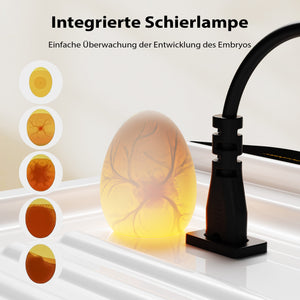 Fudajo Incubatrice di superficie completamente automatica 24 uova Covatrice polli, anatre, pulcini