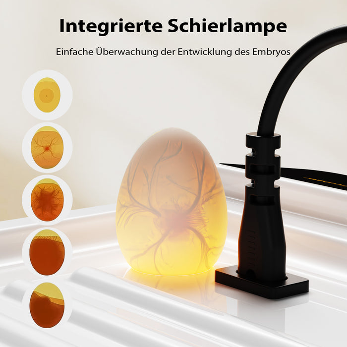 Fudajo Incubatrice di superficie completamente automatica 24 uova Covatrice polli, anatre, pulcini