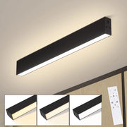 ZMH Lampada da soffitto plafoniera moderna 50 cm telecomando 29W