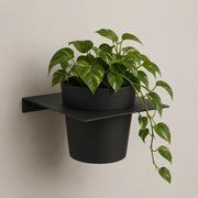 Tecnokit porta vasi da muro in metallo con vaso