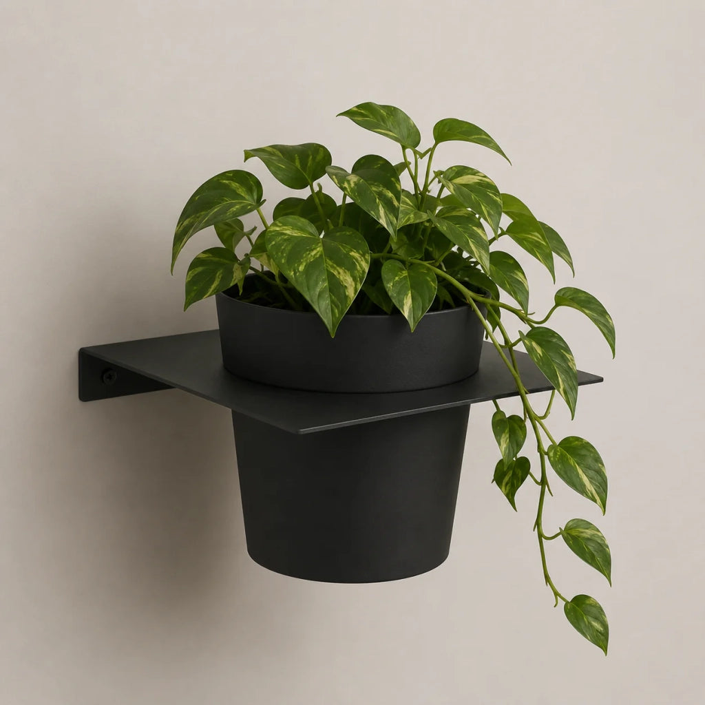 Tecnokit porta vasi da muro in metallo con vaso