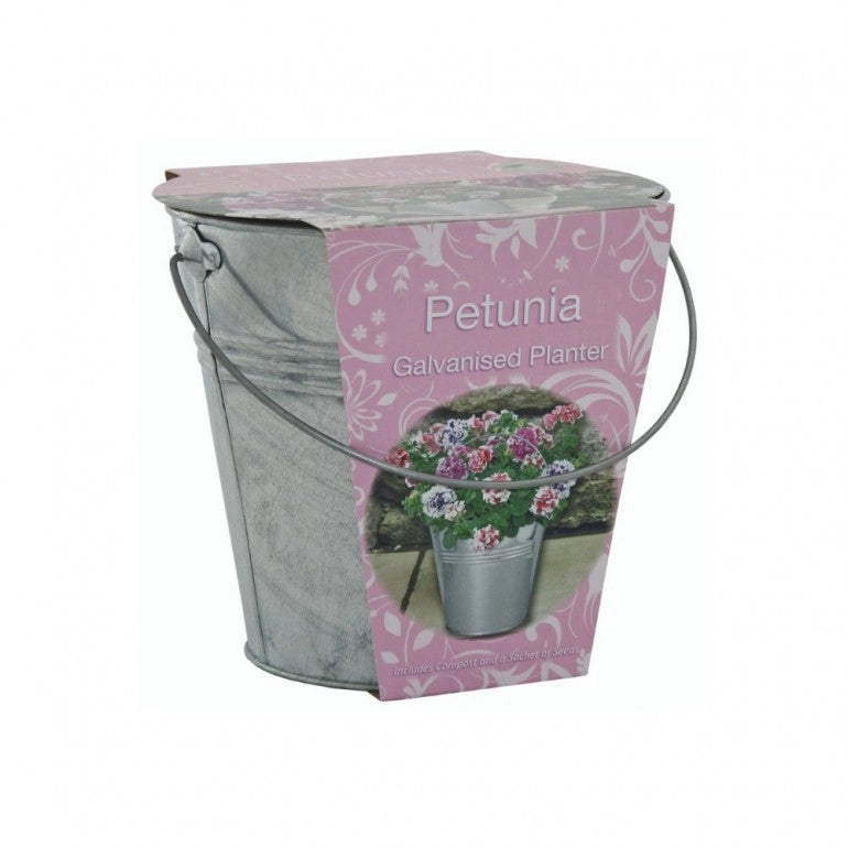 Kit Coltivazione Fiori di Petunia, con vaso in metallo, terriccio e semi