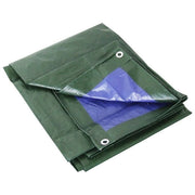 Labor 68290 Telone Occhiellato Polietilene 100 gr-mq Impermeabile Antistrappo 4x4 m colore Verde