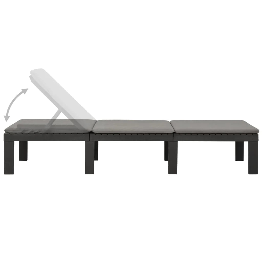 Lettino prendisole sedia a sdraio lettino prendisole letto da giardino mobili da esterno per patio con cuscino in plastica antracite 02_0012500