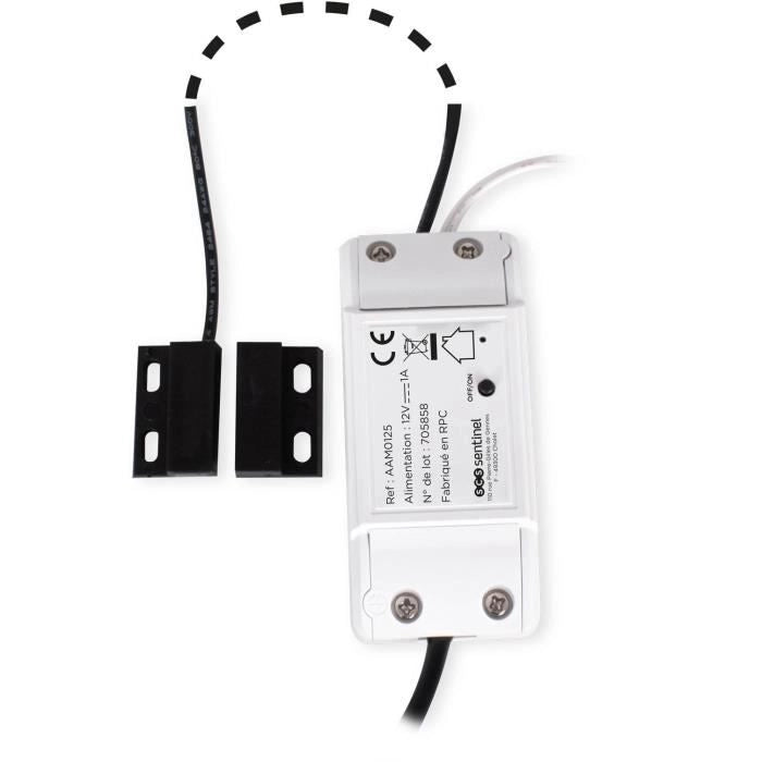 Modulo ricevitore - SCS SENTINEL - WifiGate - Connesso